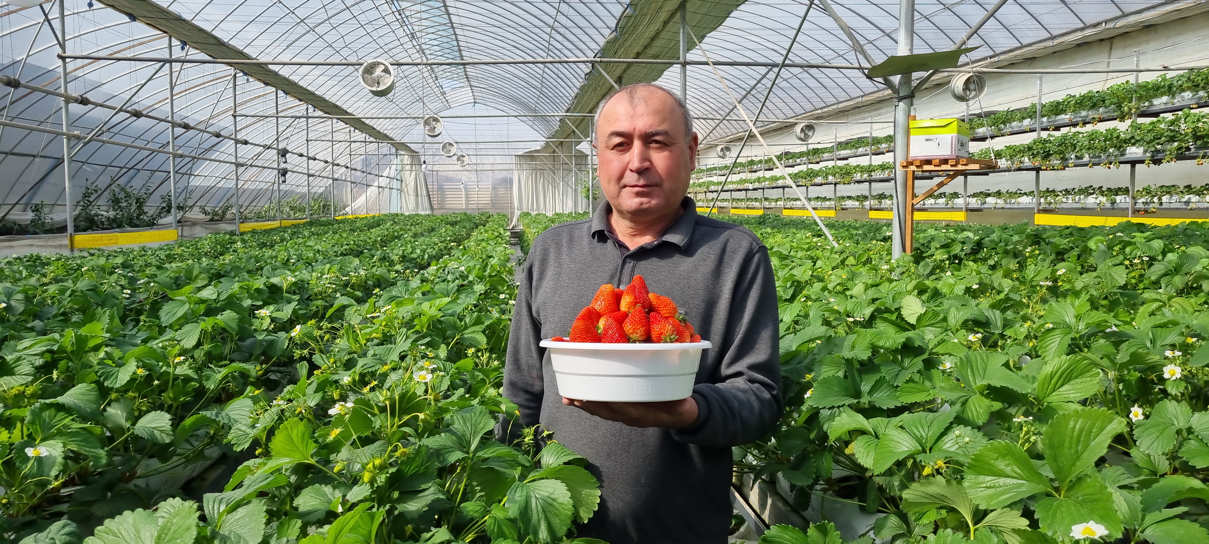 Шодиев Мухтор Жабборович